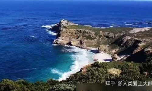 鸡煲姬松茸汤放什么料-鸡肉炖姬松茸菇的功效网 :分享鸡肉炖白萝卜的功效与作用-姬松茸菇煲鸡汤怎么知识